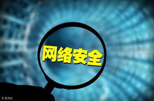 信息安全守護(hù)者 防毒軟件與智能化開發(fā)的星辰之網(wǎng)